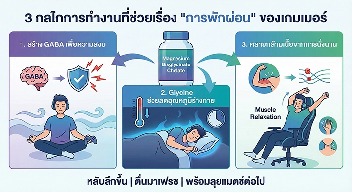 3 กลไกการทำงานที่ช่วยเรื่อง 'การพักผ่อน' ของเกมเมอร์