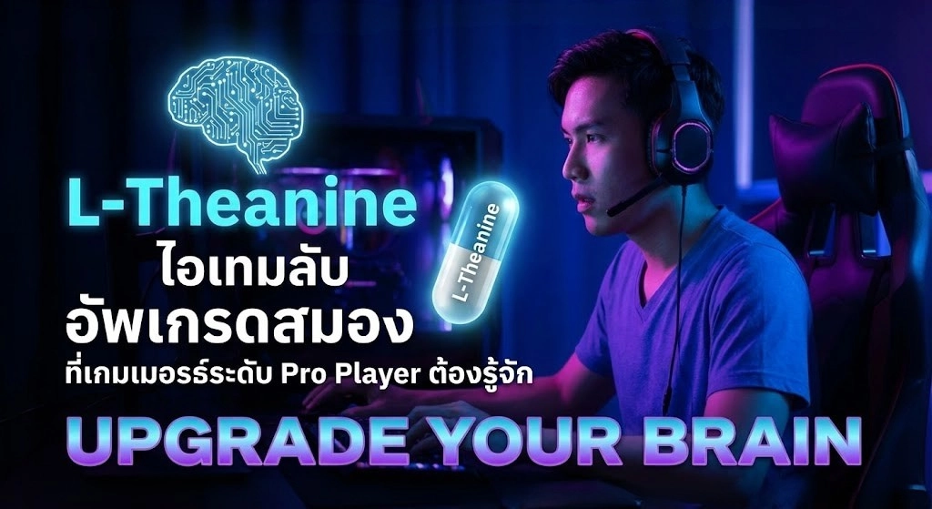 L-Theanine ไอเทมลับ “อัพเกรดสมอง” ที่เกมเมอร์ระดับ Pro Player ต้องรู้จัก